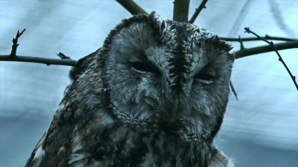 Image du film La Réserve de Nalliers
