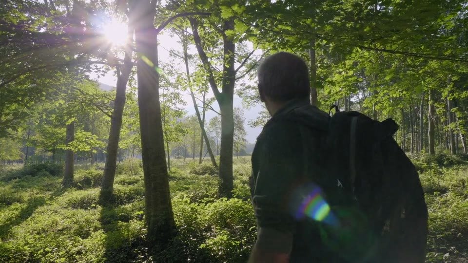 Image du film Les Nanosurvies