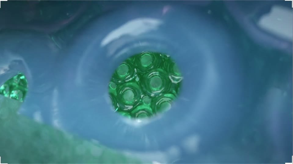 Image du film Les Nanosurvies