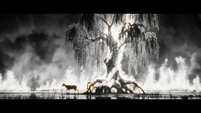 Image du film The Walkers